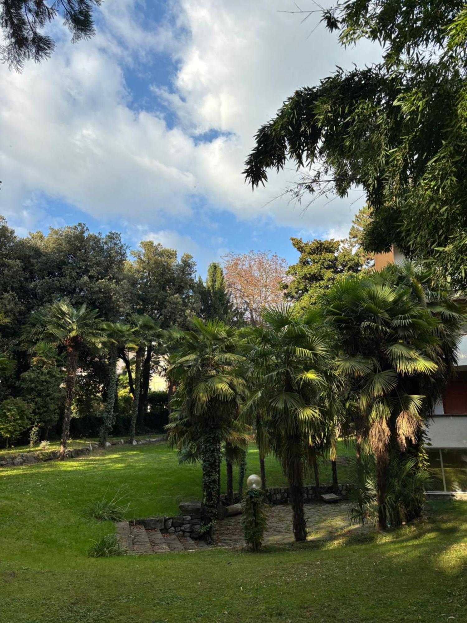 Central Palm Studio With Free Parking 梅拉诺 外观 照片